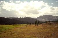 High meadows